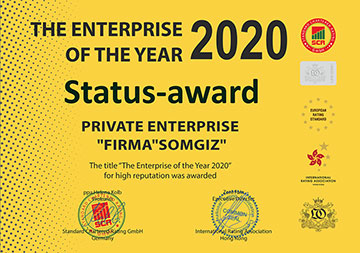 The Enterprise of the Year 2020